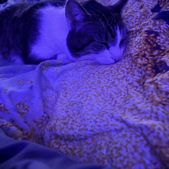 Meet your Posher, Emily - Picture 1 of 1